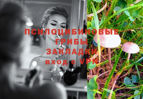 прущая мука Верея