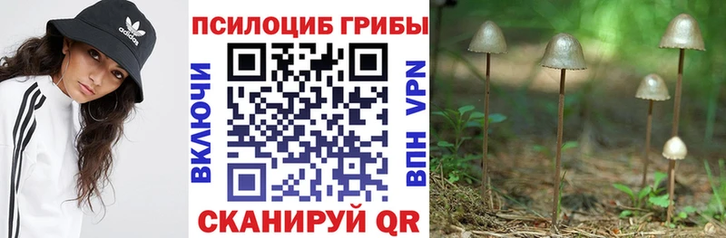 ссылка на мегу как зайти Ярцево Галлюциногенные грибы мицелий купить наркотик