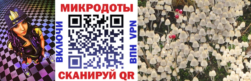 Псилоцибиновые грибы MAGIC MUSHROOMS Ярцево
